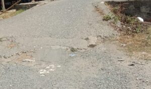 Screenshot_20240822-142928_WhatsApp