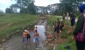 Screenshot_20241201-160911_WhatsApp