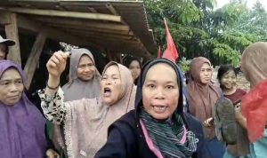 Screenshot_20241216-150814_WhatsApp