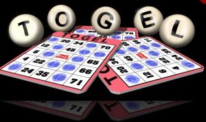 WhatsApp Image 2025-03-20 at 19.34.35