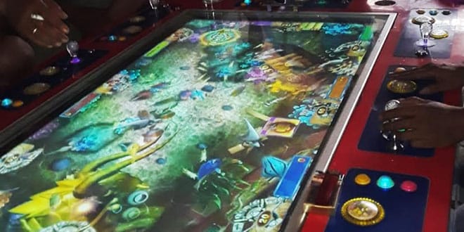 WhatsApp Image 2025-08-27 at 14.21.54