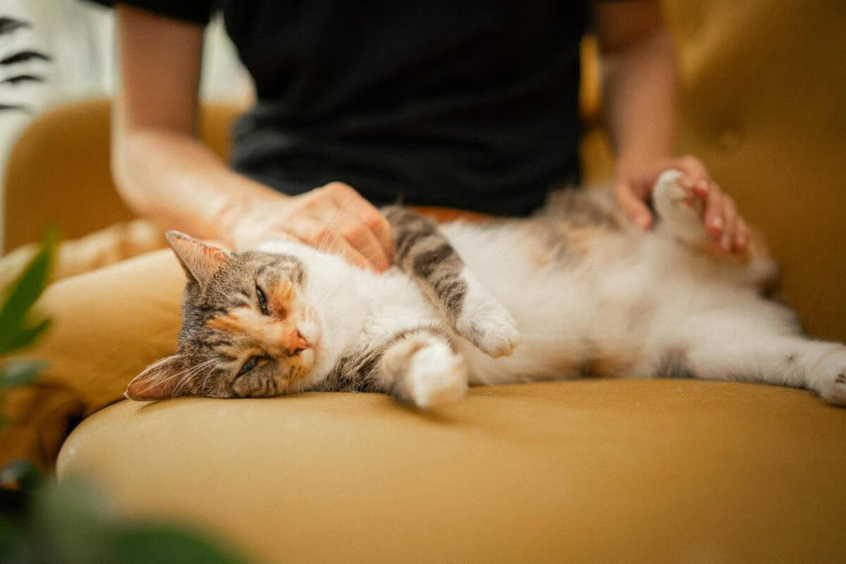 Unicharm Pet Indonesia