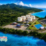 30 Tahun Elnusa Petrofin