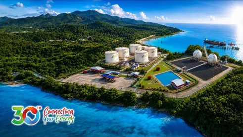 30 Tahun Elnusa Petrofin