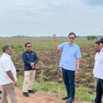 Dukung Program Mandiri Energi Nasional, Holding Perkebunan Nusantara Siapkan 10 Ribu Hektare Lahan Singkong di Lampung