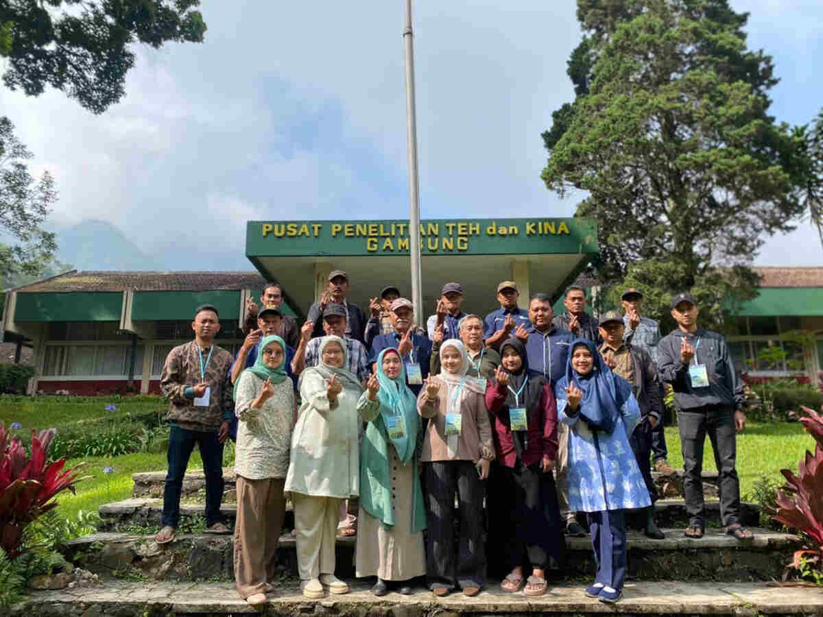 Holding Perkebunan Nusantara Perkuat Kompetensi Petani melalui Kelas Budidaya Teh