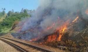 Musim Kemarau, KAI Daop 2 Bandung Himbau Tidak Bakar Sampah di Sekitar Rel