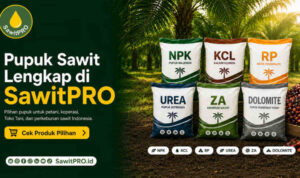 SawitPRO Hadirkan Pilihan Pupuk Sawit Lengkap untuk Kebutuhan Petani dan Perkebunan